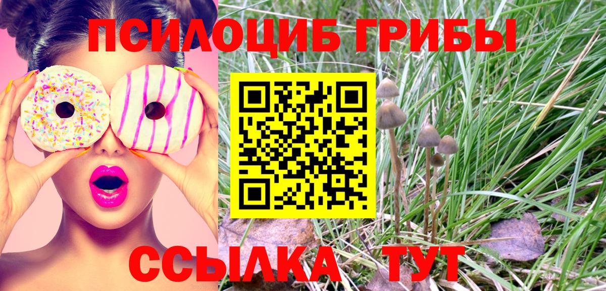 Псилоцибиновые грибы ЛСД Когалым